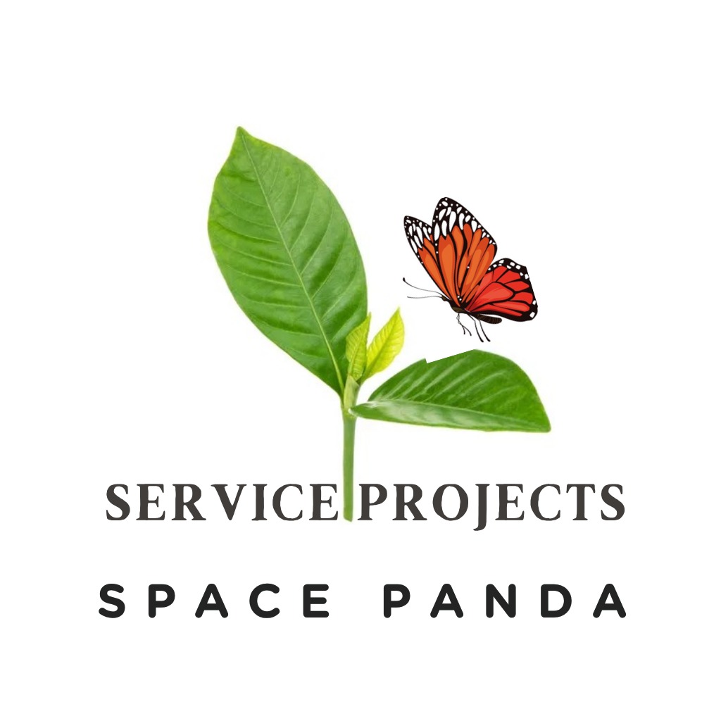 Service Projects Visual