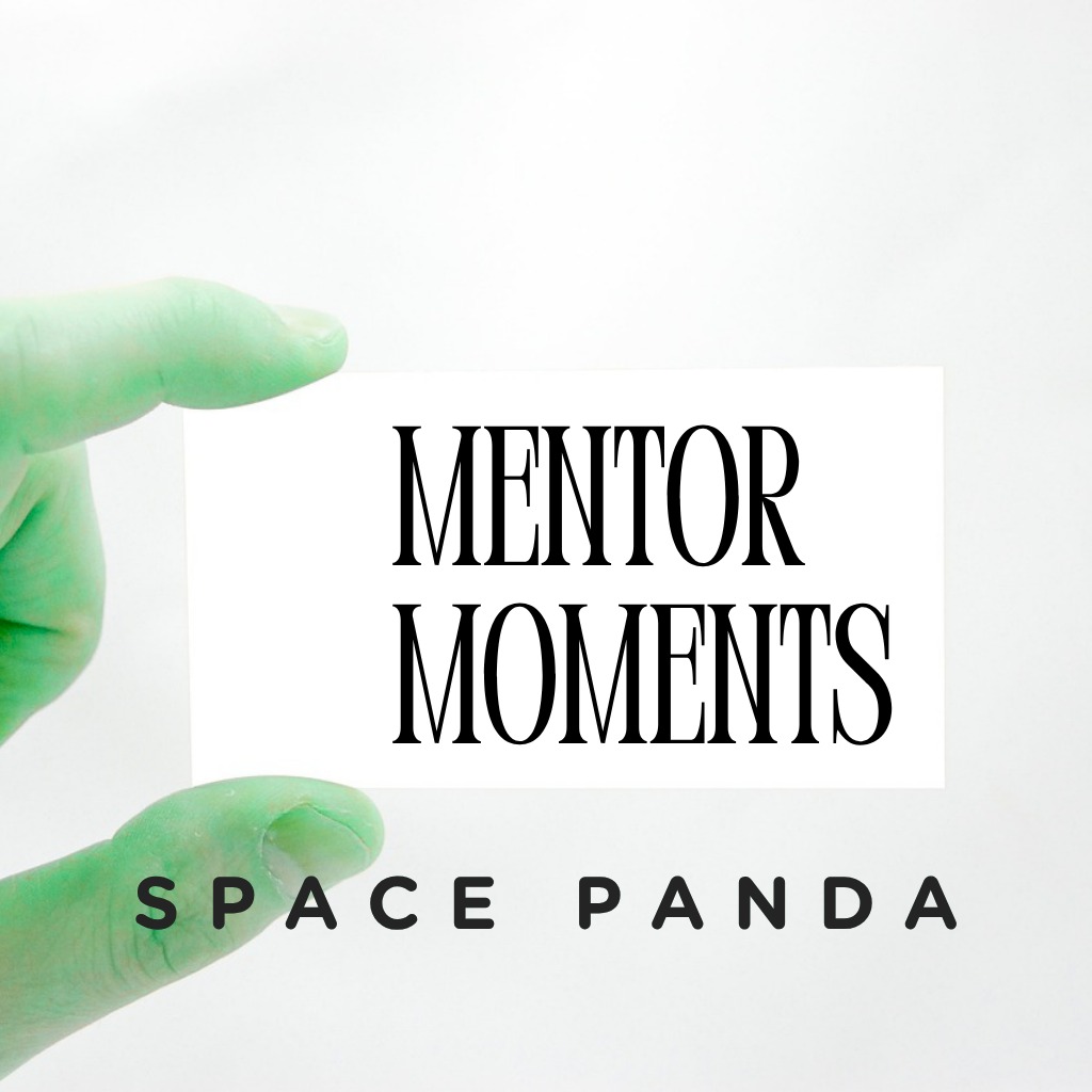 Mentor Moments Visual